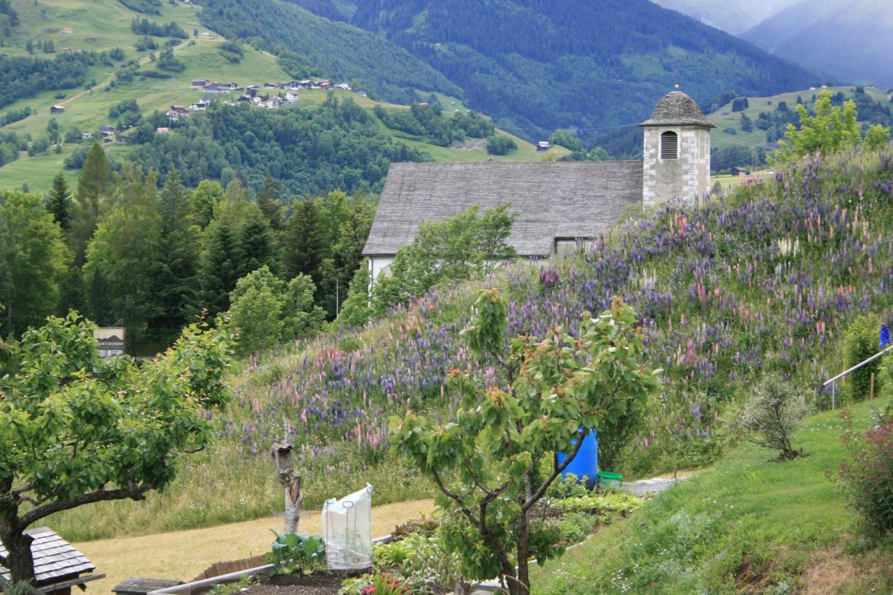 Casa Schuoler Apartment Disentis Exterior foto