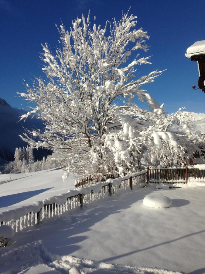 Casa Schuoler Apartment Disentis Exterior foto